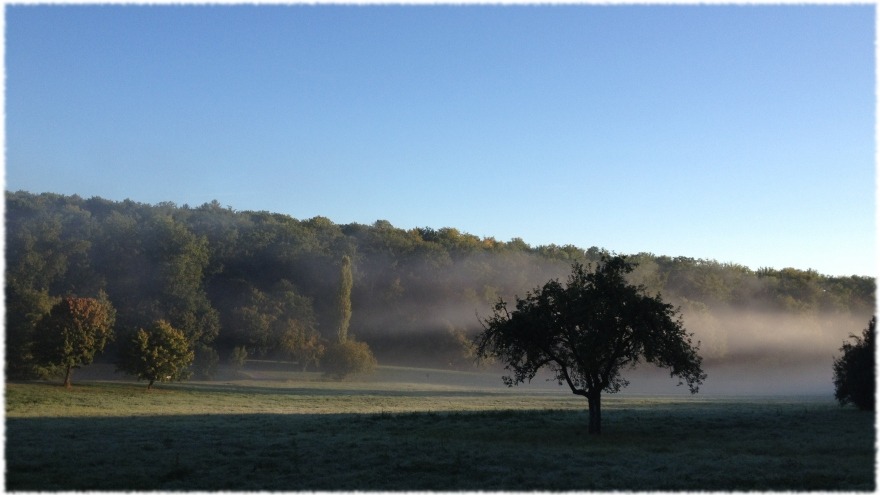 Frühnebel am Bandtälesweg